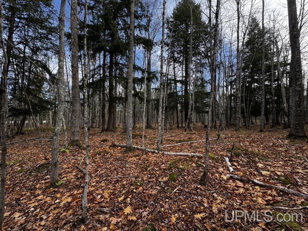 Tbd Skanee Road Skanee, MI 49962 - Photo 10 of 24 Gallery Image 10