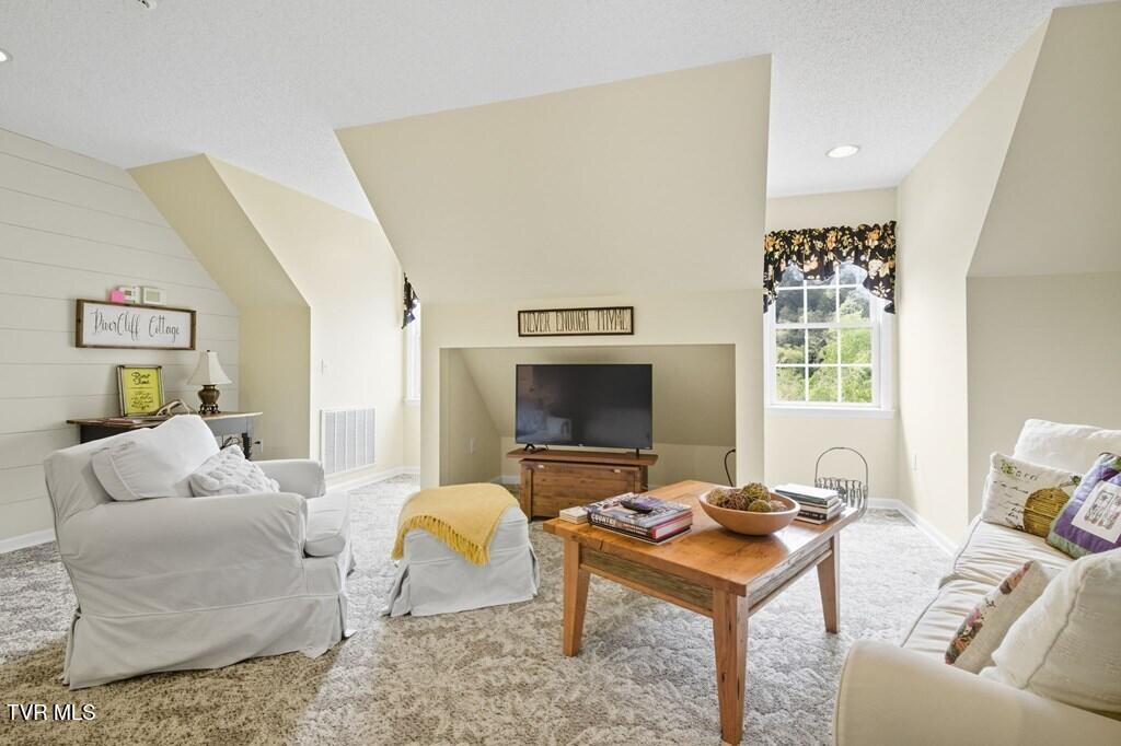 4457 Swinging Bridge Road Mendota, VA 24270 - Photo 45 of 70 109519_59