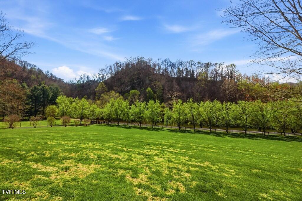 4457 Swinging Bridge Road Mendota, VA 24270 - Photo 69 of 70 109519_11