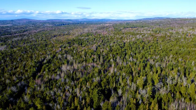 $135,000 | Lot 44-50 Woodman Mill Road, Burlington, ME 04417