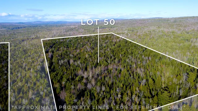 $135,000 | Lot 44-50 Woodman Mill Road, Burlington, ME 04417