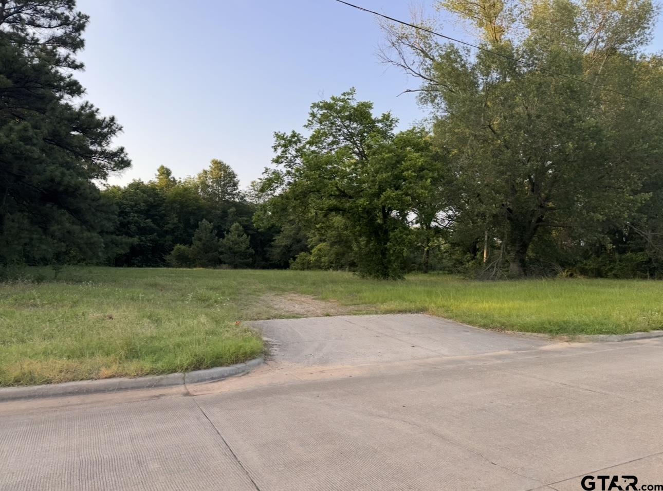a view of a yard with a trampoline