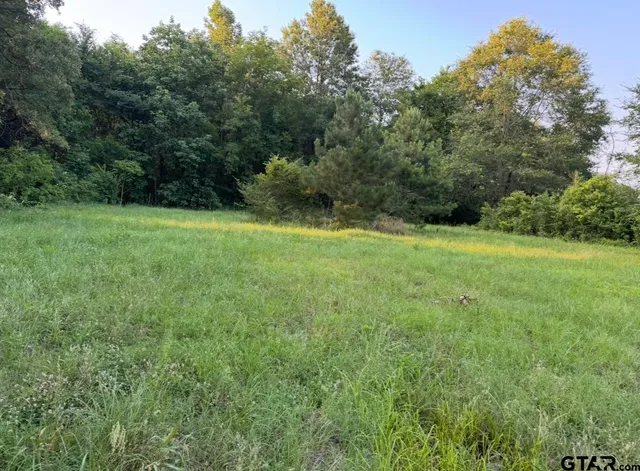 a view of field with trees in the background