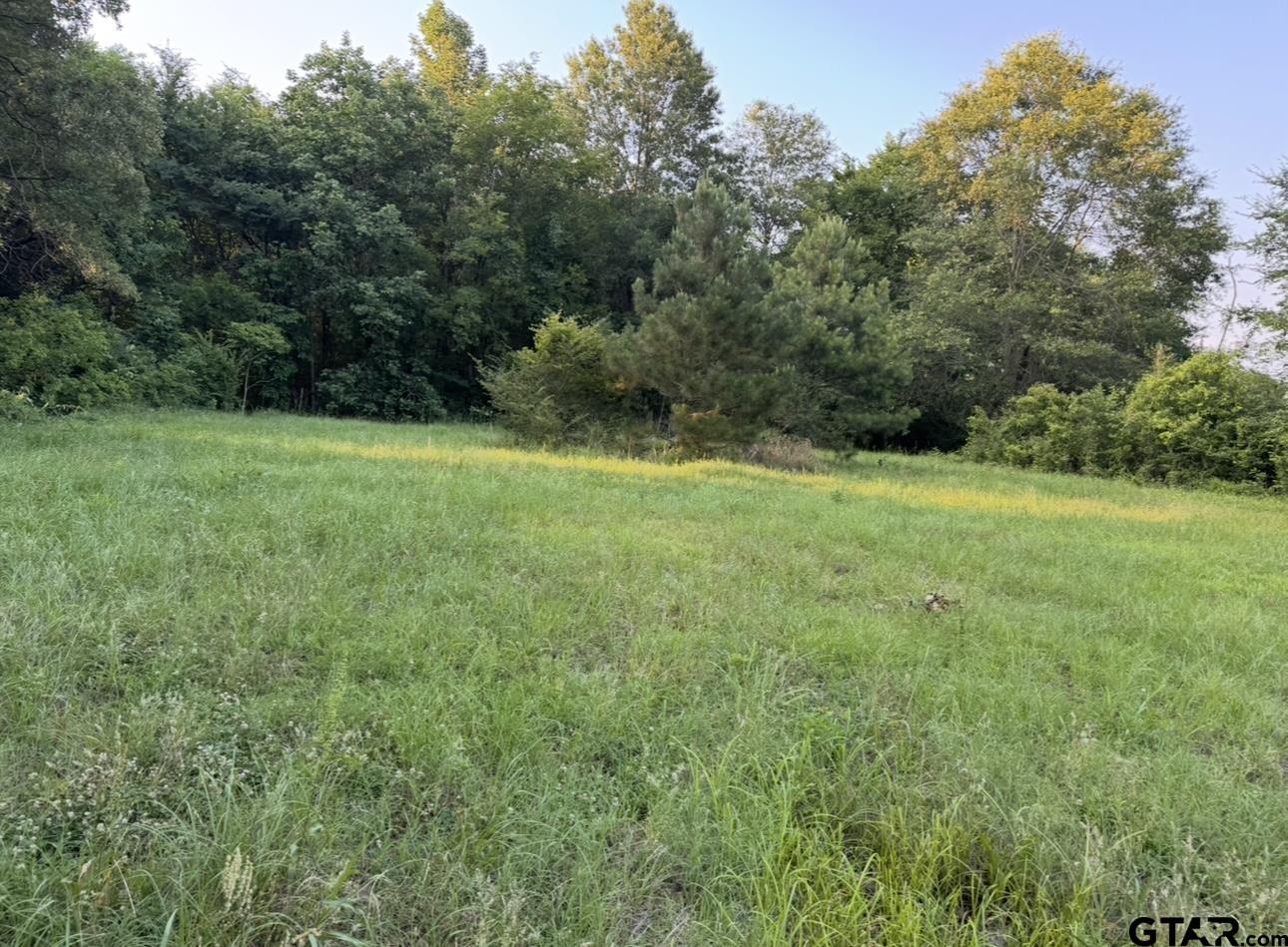 Tbd Billy Daniel Street Mount Pleasant, TX 75455 - Photo 3 of 6 a view of field with trees in the background