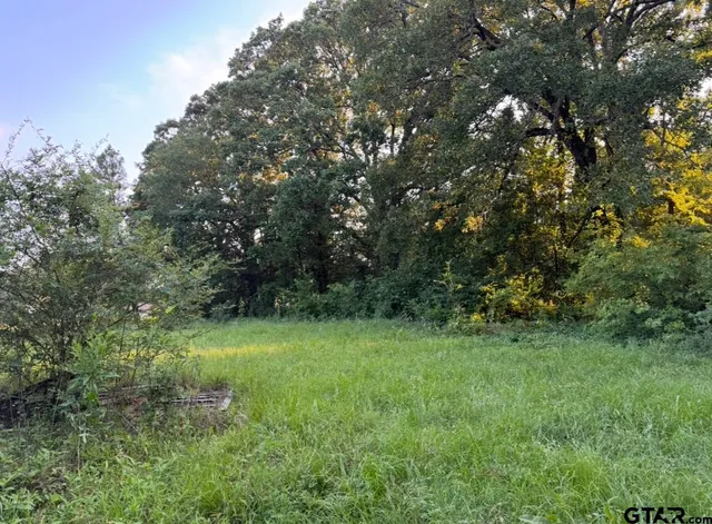 a view of a lush green space