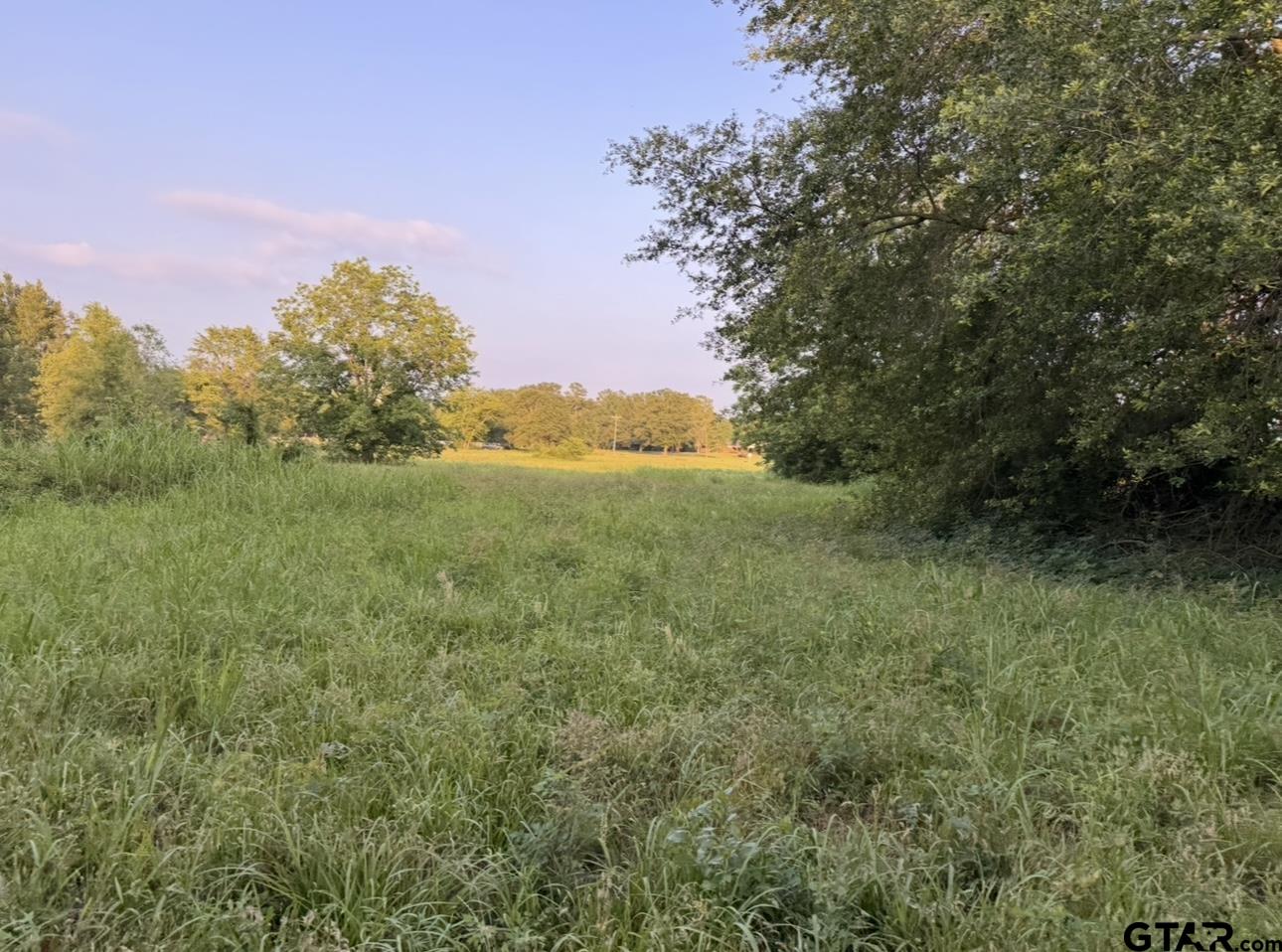Tbd Billy Daniel Street Mount Pleasant, TX 75455 - Photo 6 of 6 a view of a green field with lots of bushes