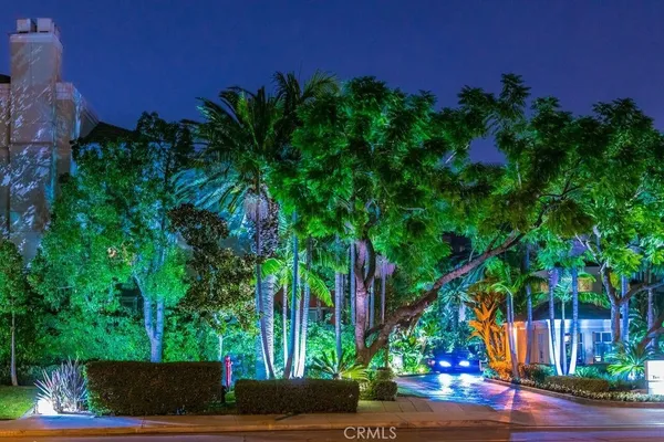 a picture of a yard