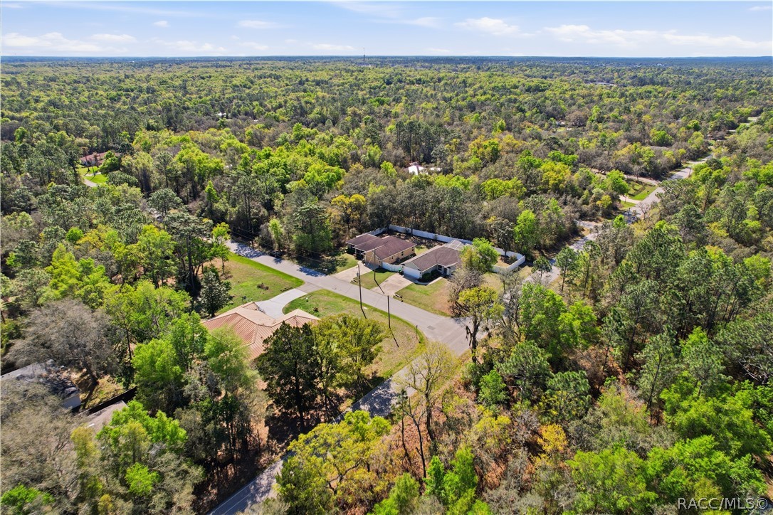 3038 East Rogers Inverness, FL 34453 - Photo 44 of 46