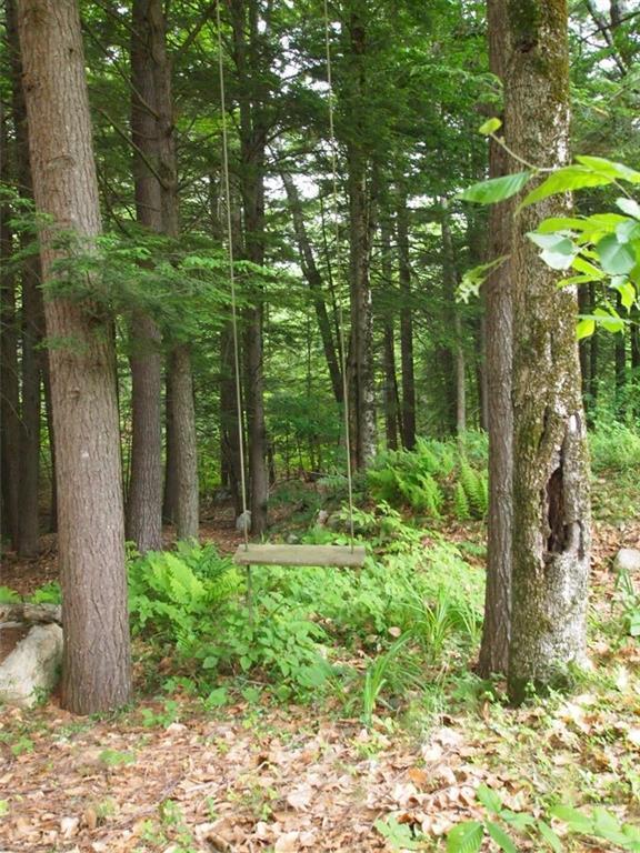 16 Bahre Road Otisfield, ME 04270 - Photo 8 of 22 A perfect swing!