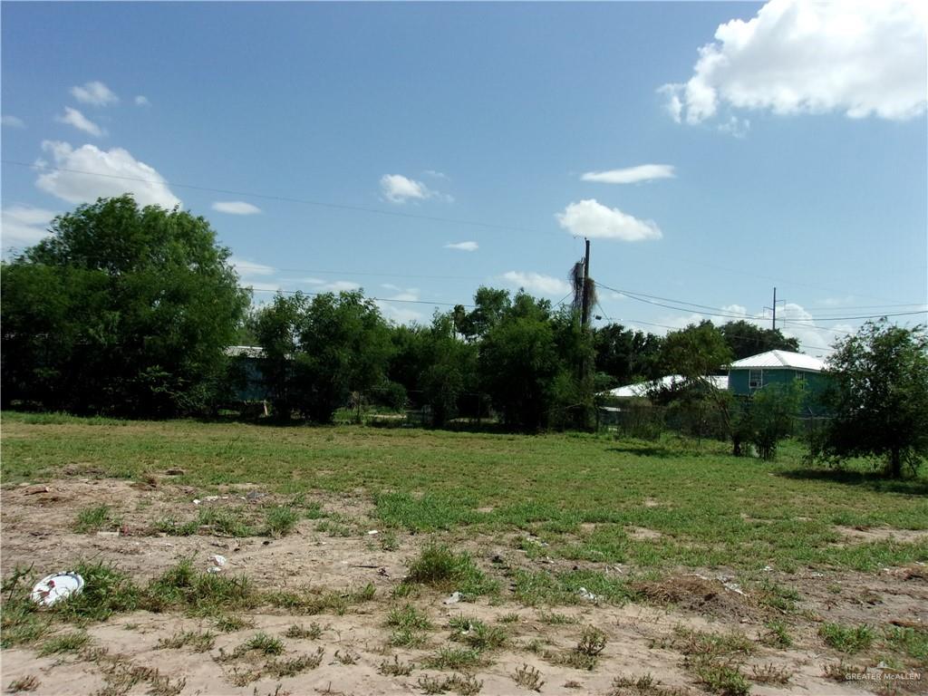 5 Mile Line Road Mission, TX 78573 - Photo 9 of 9 a view of a garden with a house