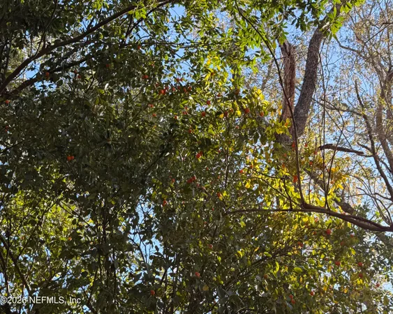 $259,900 | 3015 Northeast 13th Drive, Gainesville, FL 32609