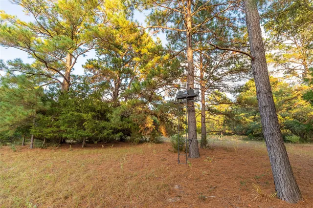 $1,795,000 | 1035 Wavra Lane, New Ulm, TX 78950