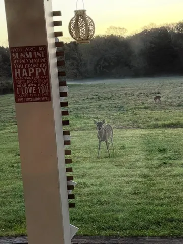 $1,795,000 | 1035 Wavra Lane, New Ulm, TX 78950