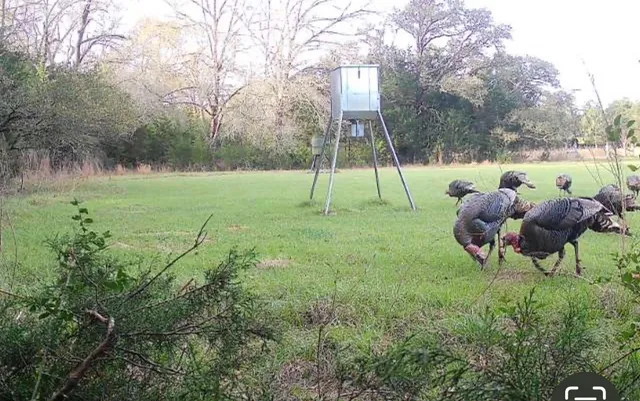 $1,795,000 | 1035 Wavra Lane, New Ulm, TX 78950