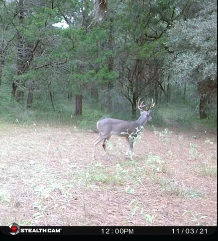 $1,795,000 | 1035 Wavra Lane, New Ulm, TX 78950