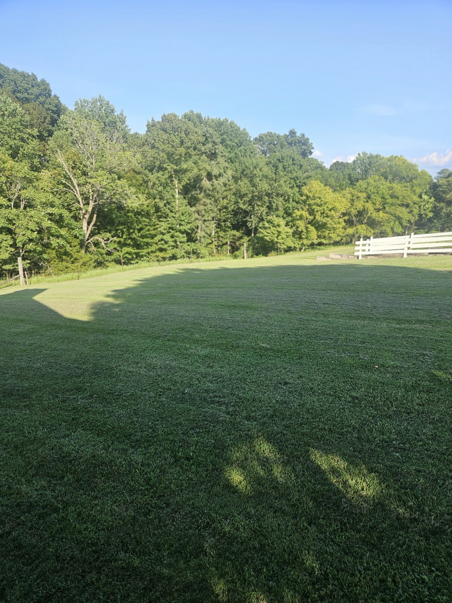 412 Hawkins Road Westmoreland, TN 37186 - Photo 10 of 20 a view of an outdoor space and a yard