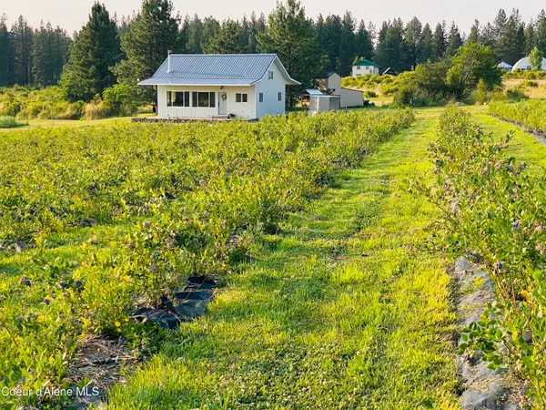 $495,000 | 110 Abiding Way, Kooskia, ID 83539