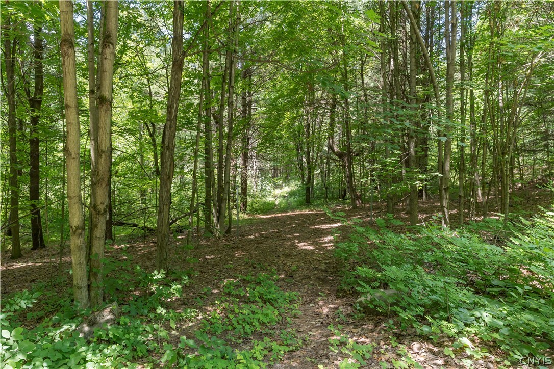 Split Rock Road Hammond, NY 13646 - Photo 8 of 8