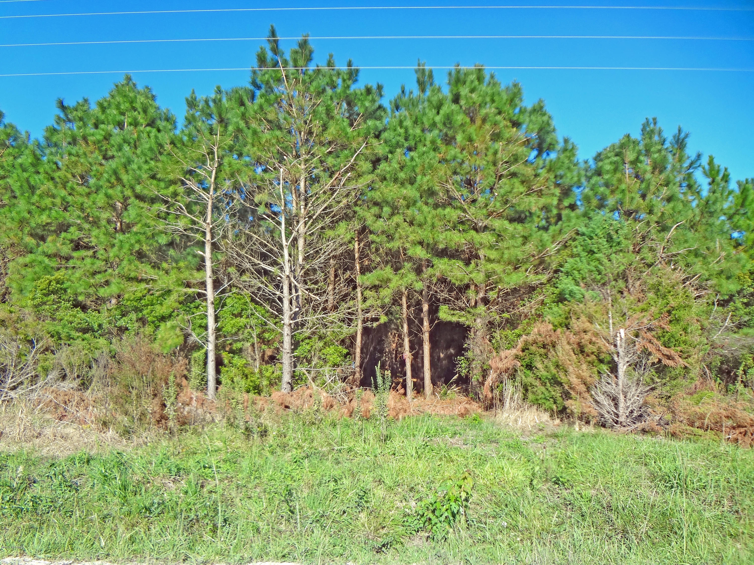 152 Dolph Everett Road Holly Ridge, NC 28445 - Photo 2 of 7 Entry to Cut Path