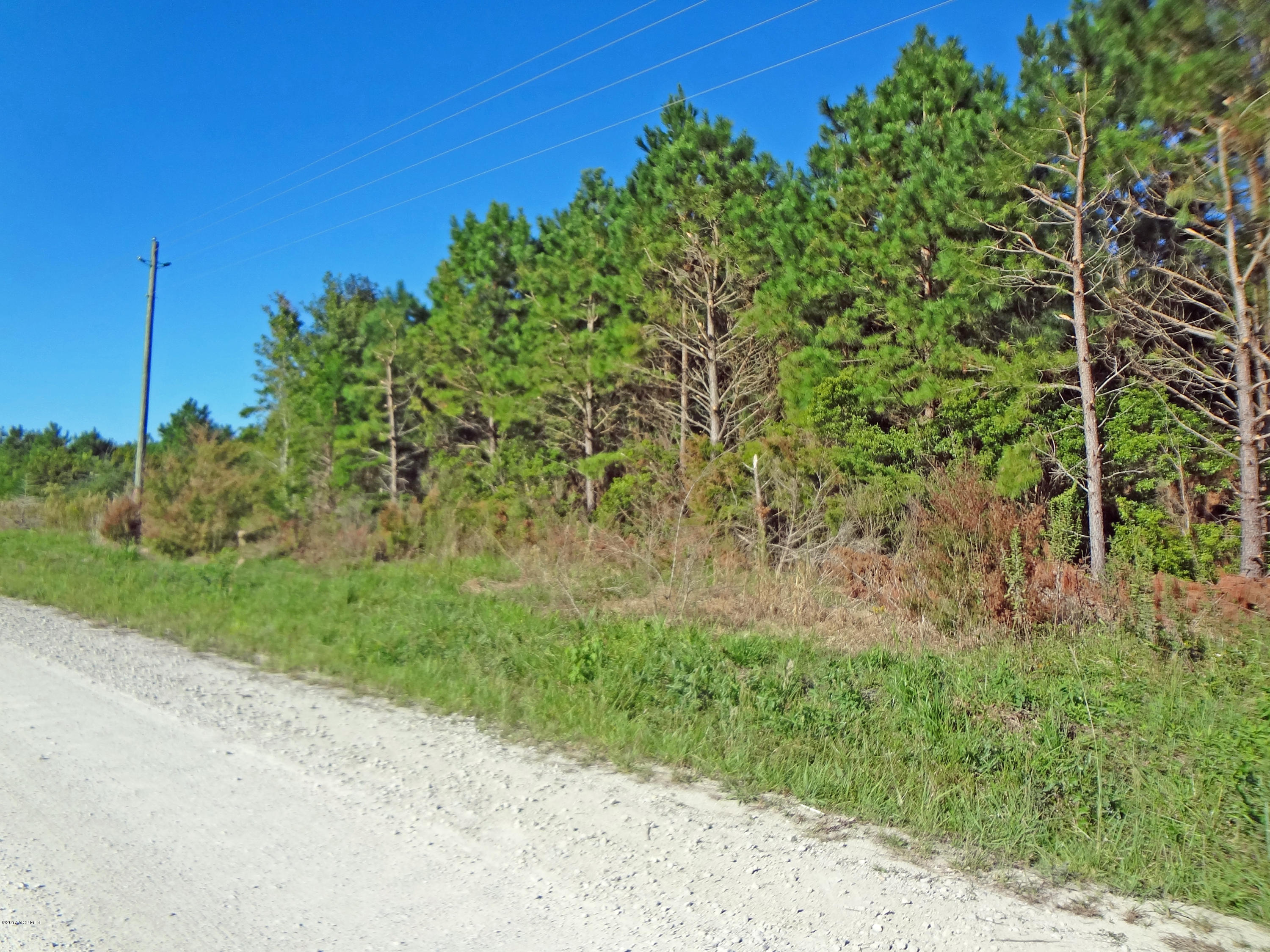 152 Dolph Everett Road Holly Ridge, NC 28445 - Photo 4 of 7 Looking Left