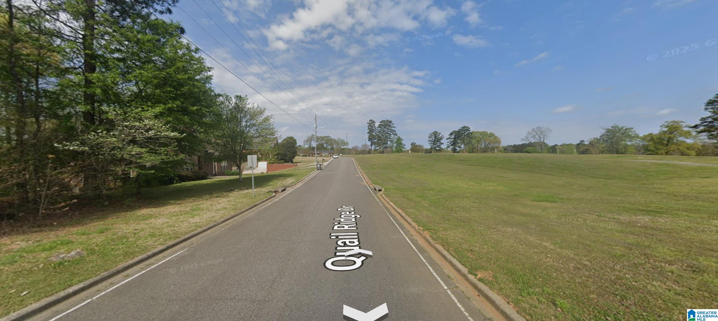 1623 Quail Ridge Drive, Unit LOT 9 QUAIL RIDGE SECTOR Gardendale, AL 35071 - Photo 2 of 4