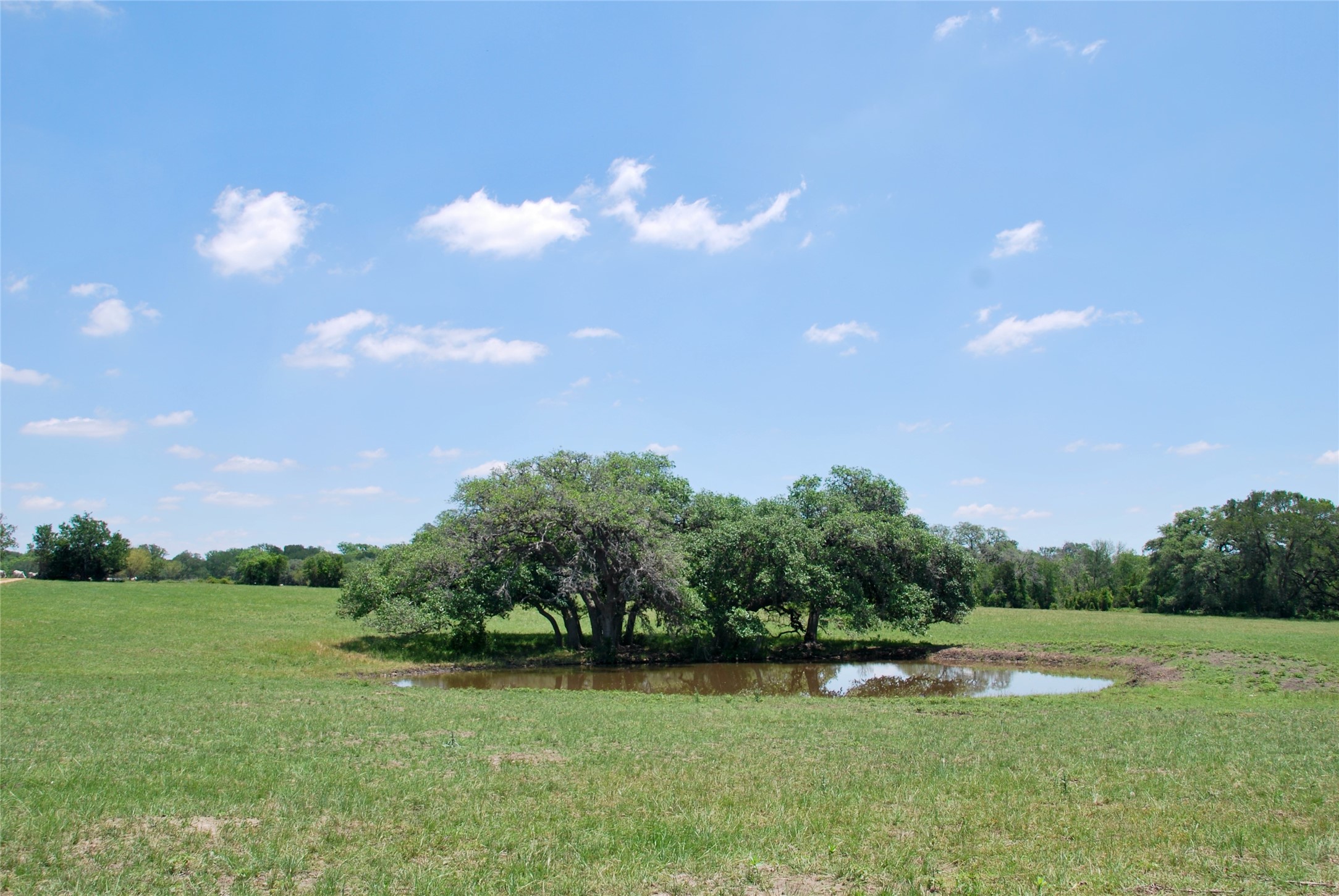 2170 Langdon Road Weimar, TX 78962 - Photo 31 of 31