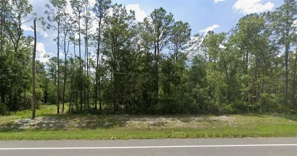 $26,800 | 7430 Treiman Boulevard, Webster, FL 33597