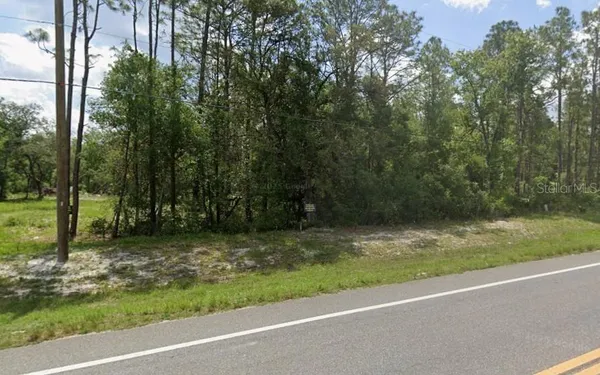 $26,800 | 7430 Treiman Boulevard, Webster, FL 33597
