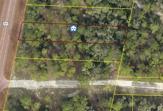 $26,800 | 7430 Treiman Boulevard, Webster, FL 33597