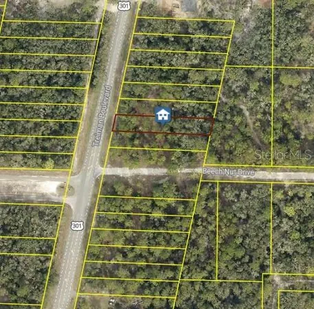 $26,800 | 7430 Treiman Boulevard, Webster, FL 33597