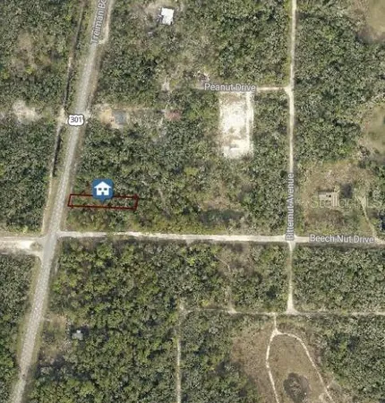 $26,800 | 7430 Treiman Boulevard, Webster, FL 33597