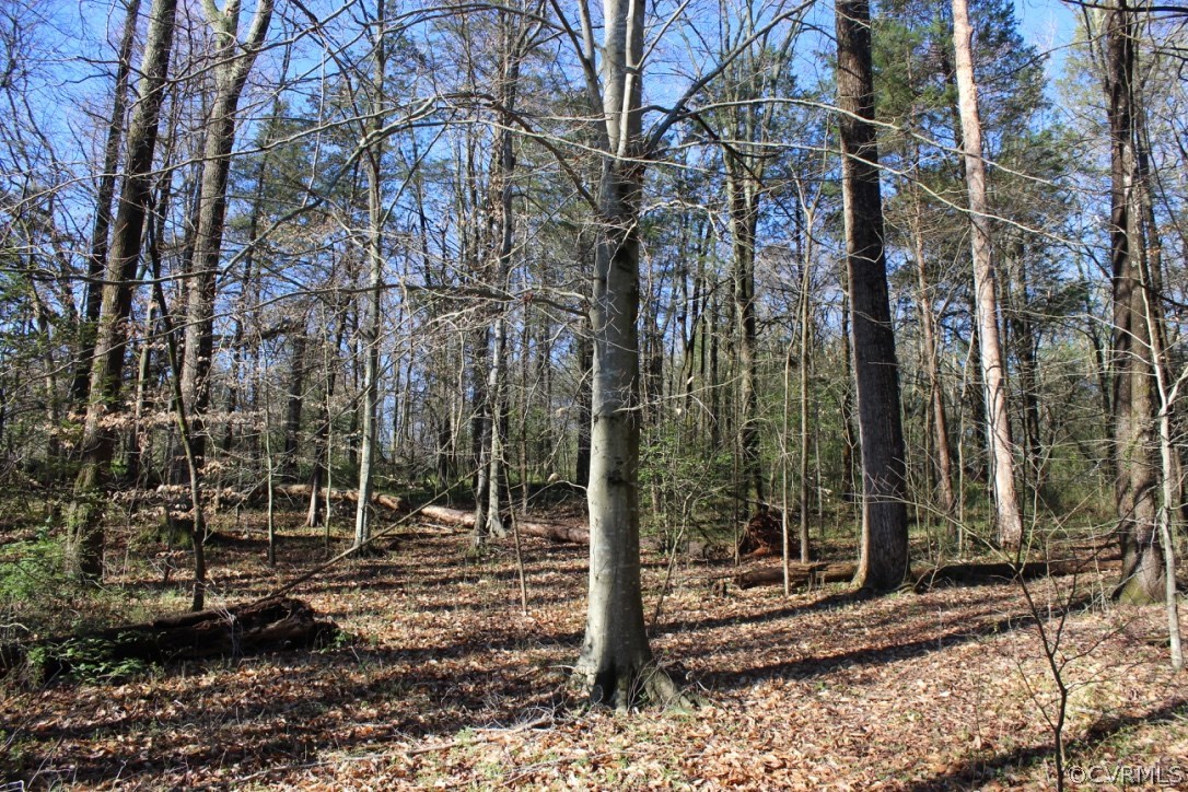 1332 West River Road Crozier, VA 23039 - Photo 1 of 15 Gallery Image 1