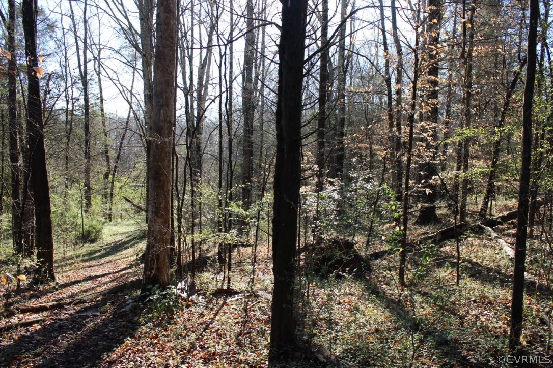 1332 West River Road Crozier, VA 23039 - Photo 3 of 15 Gallery Image 3