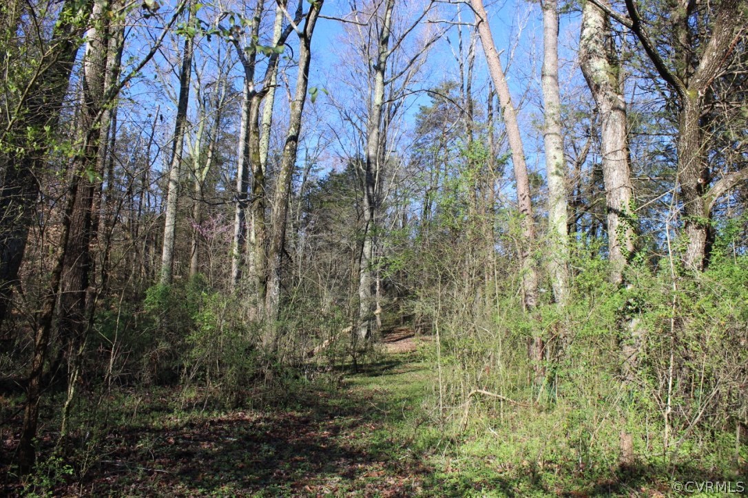 1332 West River Road Crozier, VA 23039 - Photo 4 of 15 Gallery Image 4