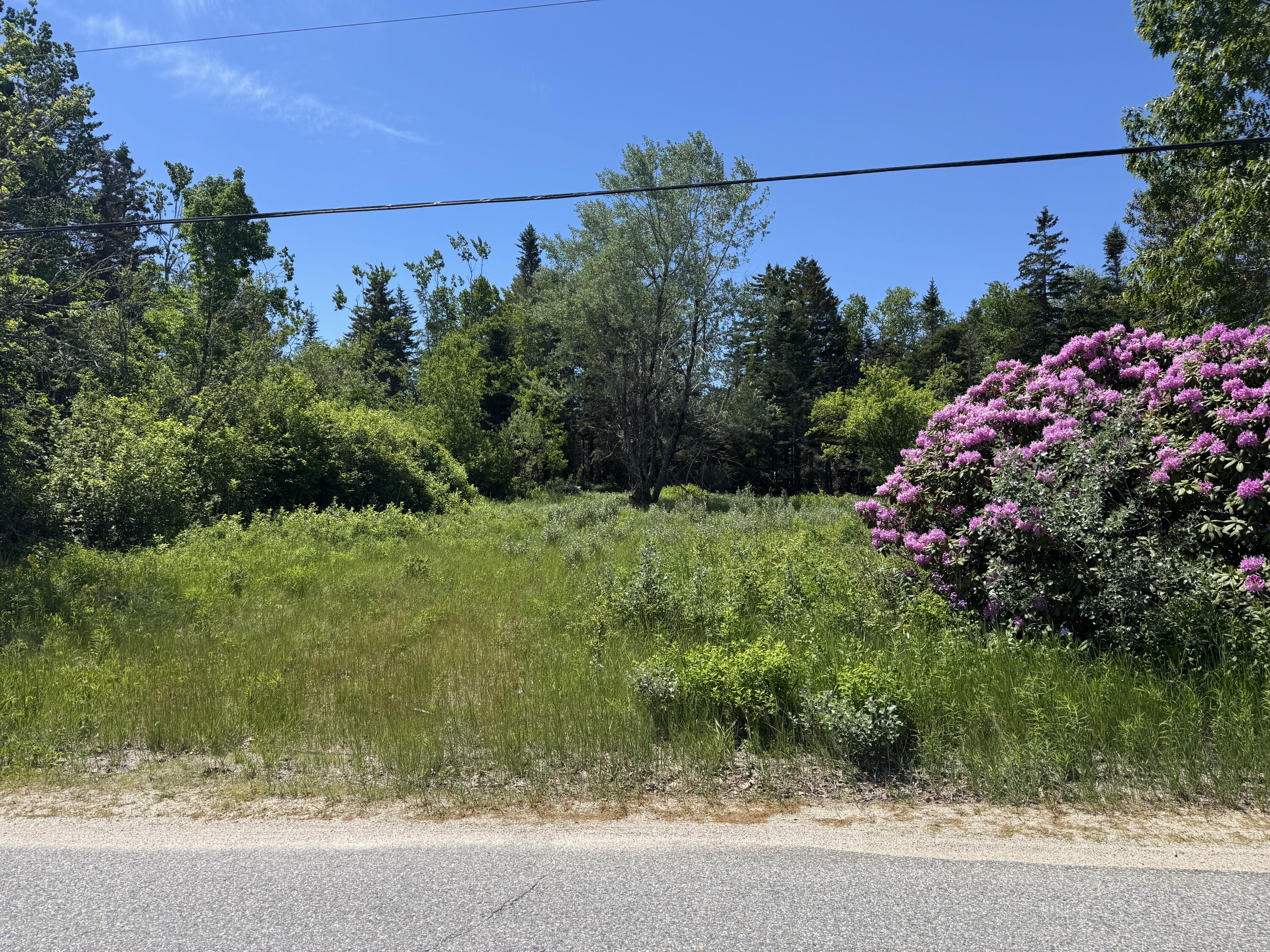 113 Looks Point Road Jonesboro, ME 04648 - Photo 10 of 11 IMG_5716