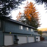 a front view of house with yard and trees