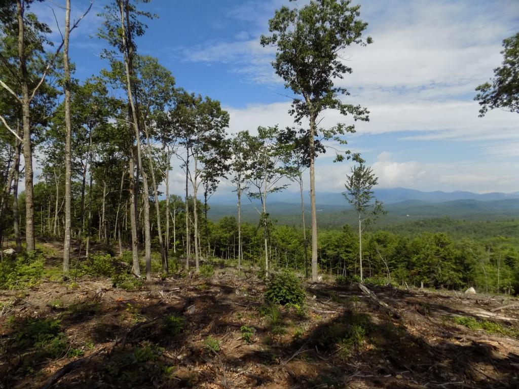 Tract Ii Goe Hill Road Madison, NH 03849 - Photo 1 of 14