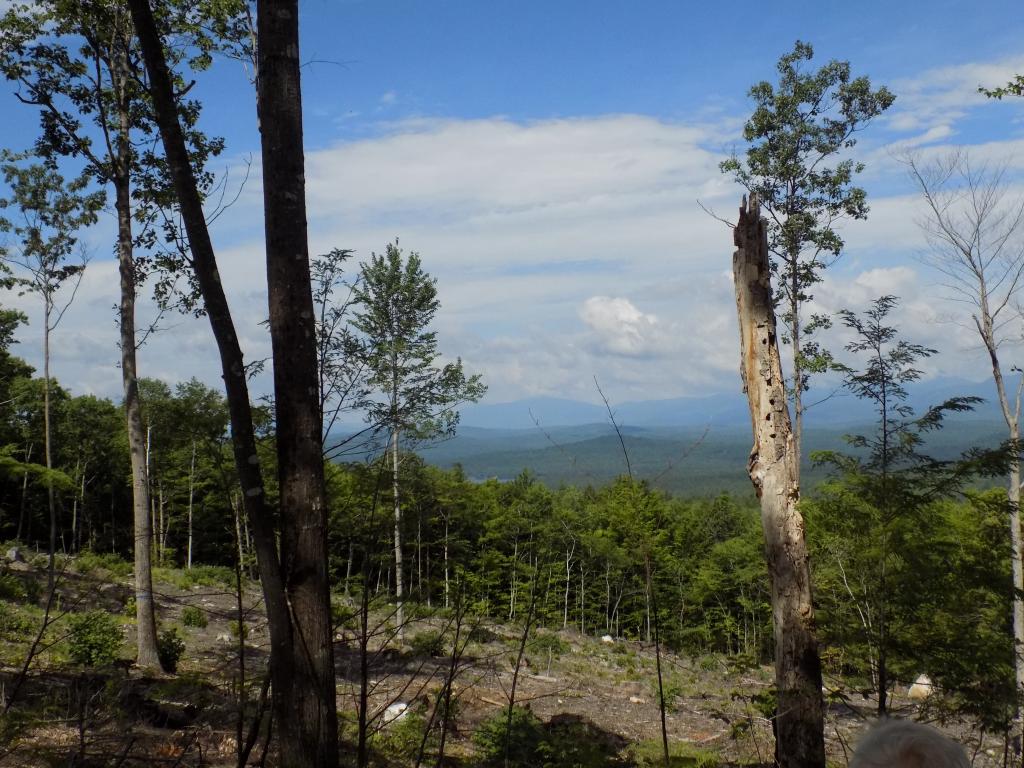 Tract Ii Goe Hill Road Madison, NH 03849 - Photo 5 of 14