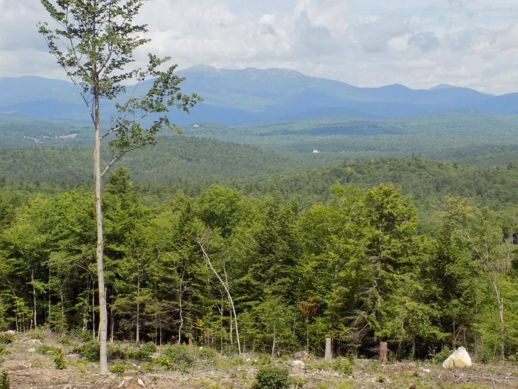 Tract Ii Goe Hill Road Madison, NH 03849 - Photo 7 of 14