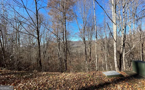 $3,900 | Lot 36 Mountain Harbour Hayesville Nc 28904, Hayesville, NC 28904