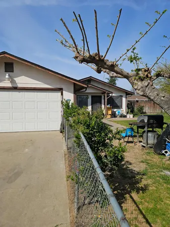 a very nice looking yard with a large tree