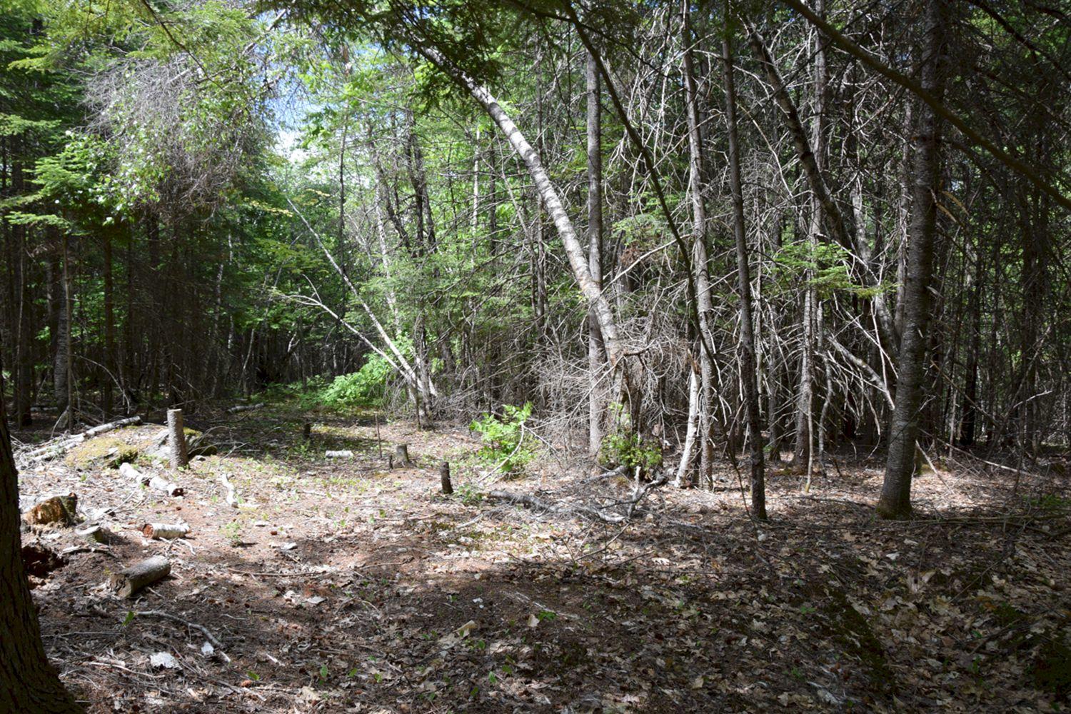 M12-l9-18 Mountain View Road Anson, ME 04911 - Photo 2 of 9 DSC_0057