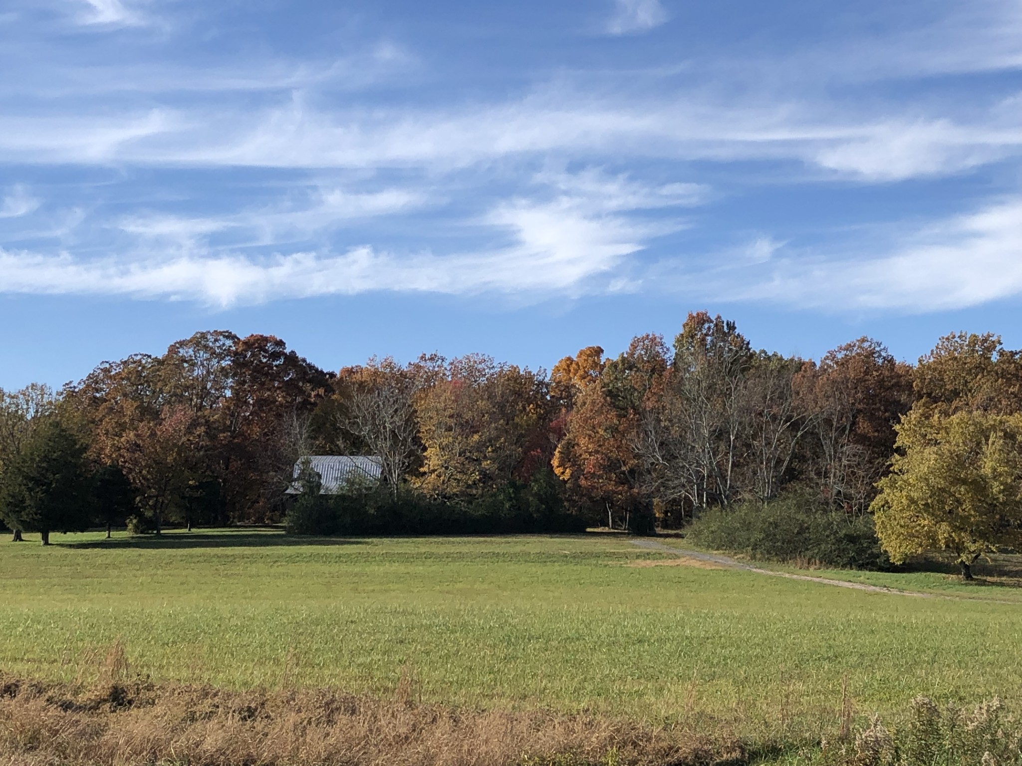 8 Pea Ridge Road Liberty, TN 37095 - Photo 1 of 27 a view of a field with an ocean