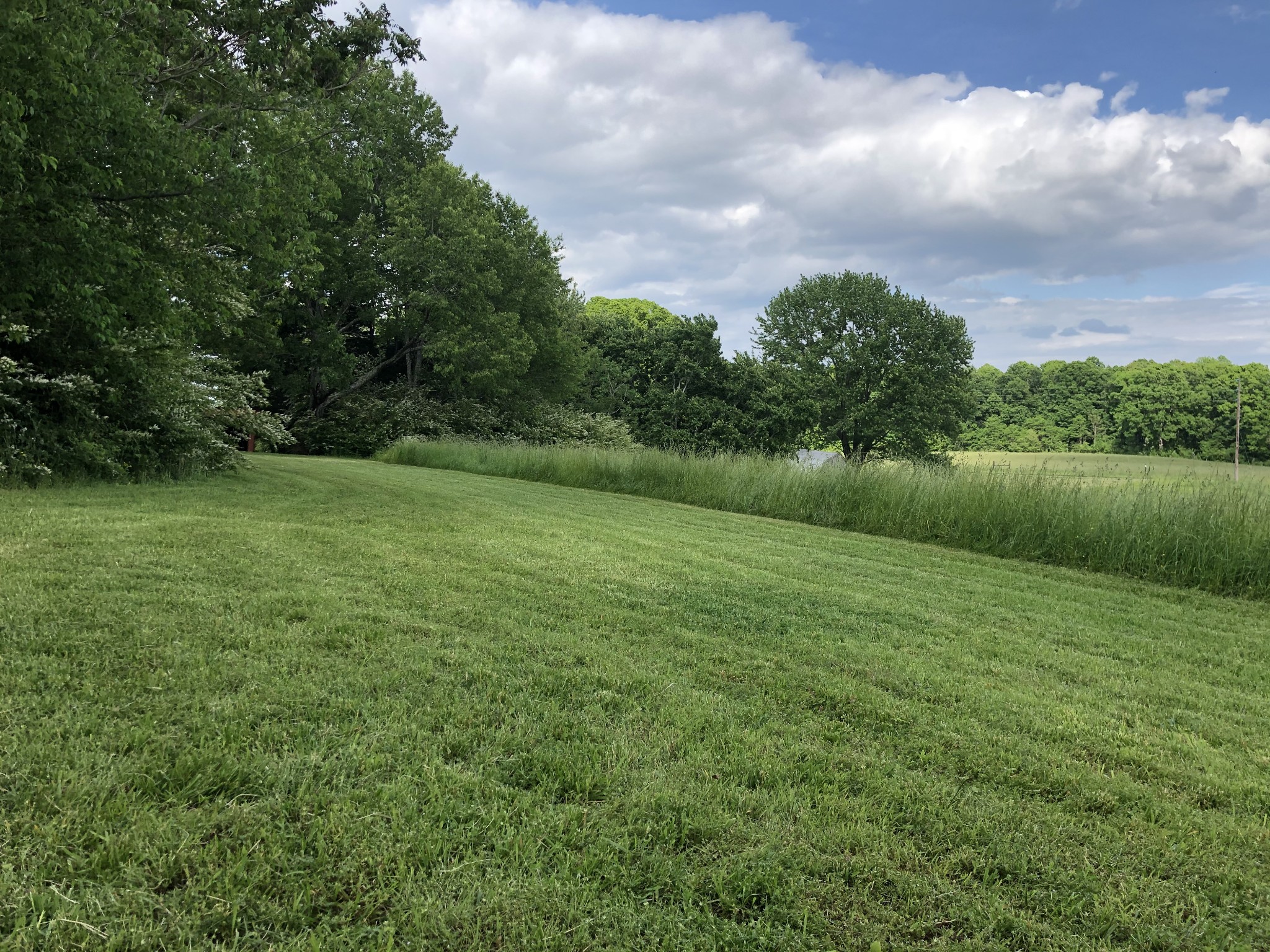 8 Pea Ridge Road Liberty, TN 37095 - Photo 13 of 27 a view of a green field with wooden fence