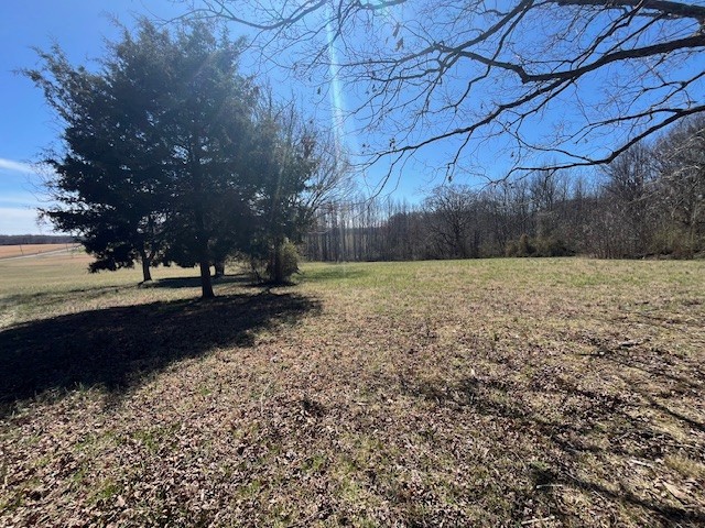 8 Pea Ridge Road Liberty, TN 37095 - Photo 14 of 27 a view of park with large trees