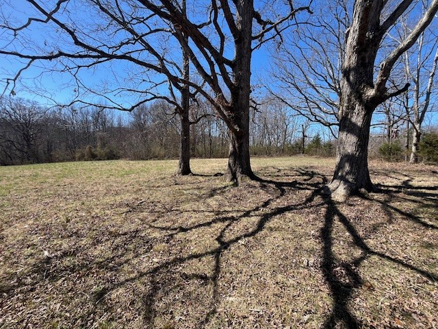 8 Pea Ridge Road Liberty, TN 37095 - Photo 16 of 27 a view of a yard with a tree