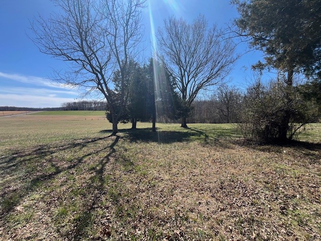 8 Pea Ridge Road Liberty, TN 37095 - Photo 17 of 27 a view of a backyard with large trees