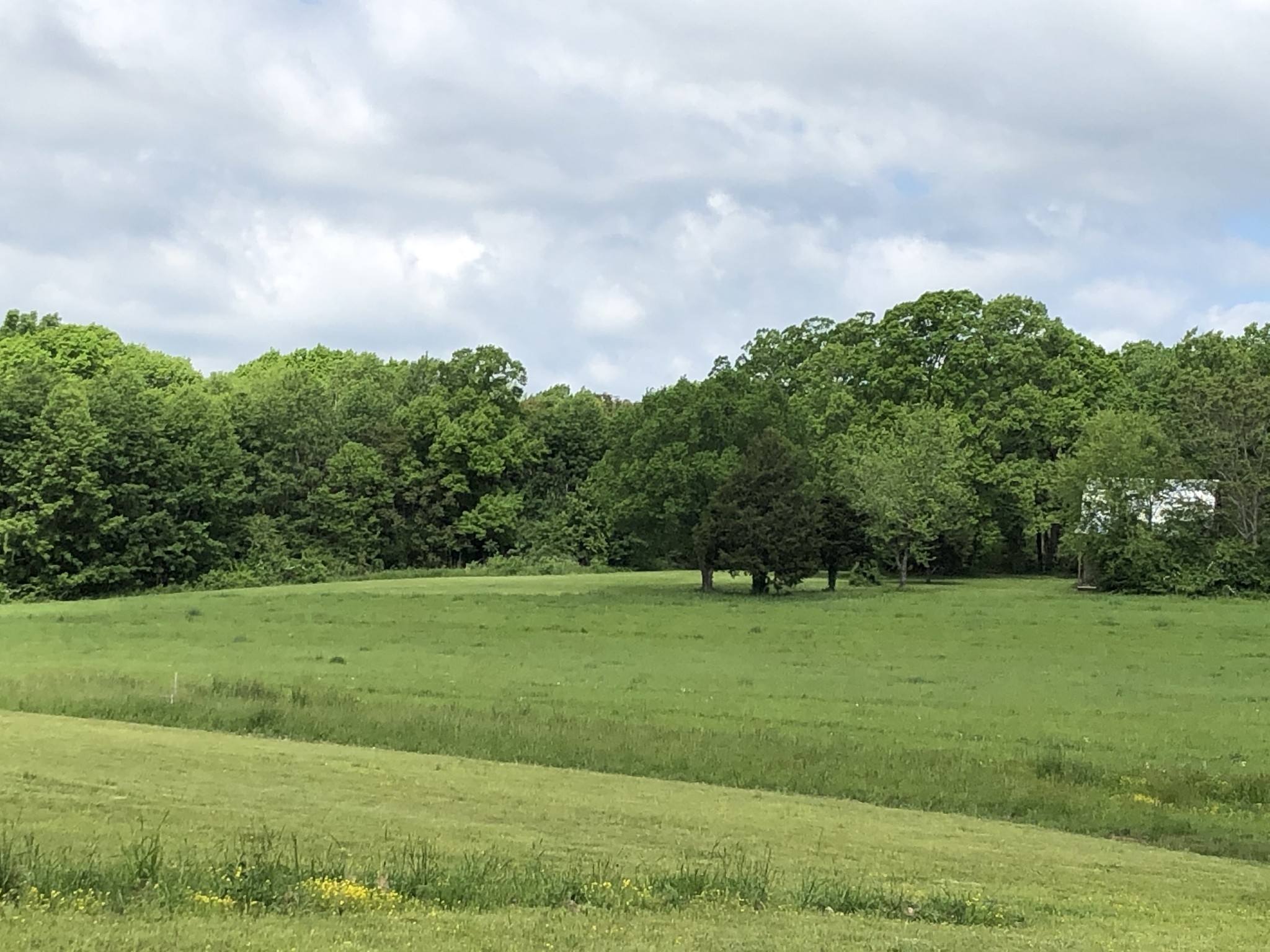 8 Pea Ridge Road Liberty, TN 37095 - Photo 22 of 27 a view of a grassy field