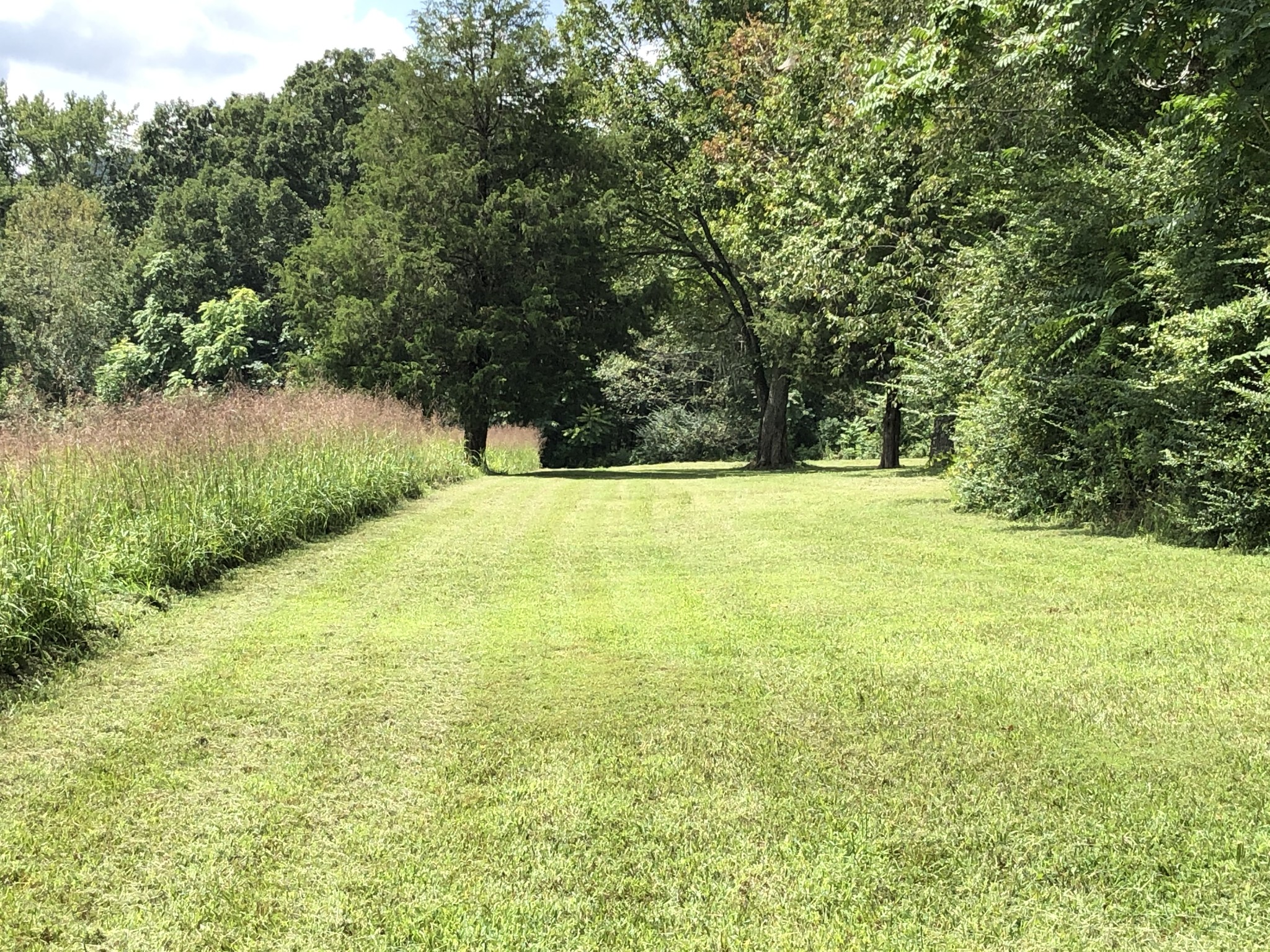 8 Pea Ridge Road Liberty, TN 37095 - Photo 23 of 27 a view of an outdoor space and a yard
