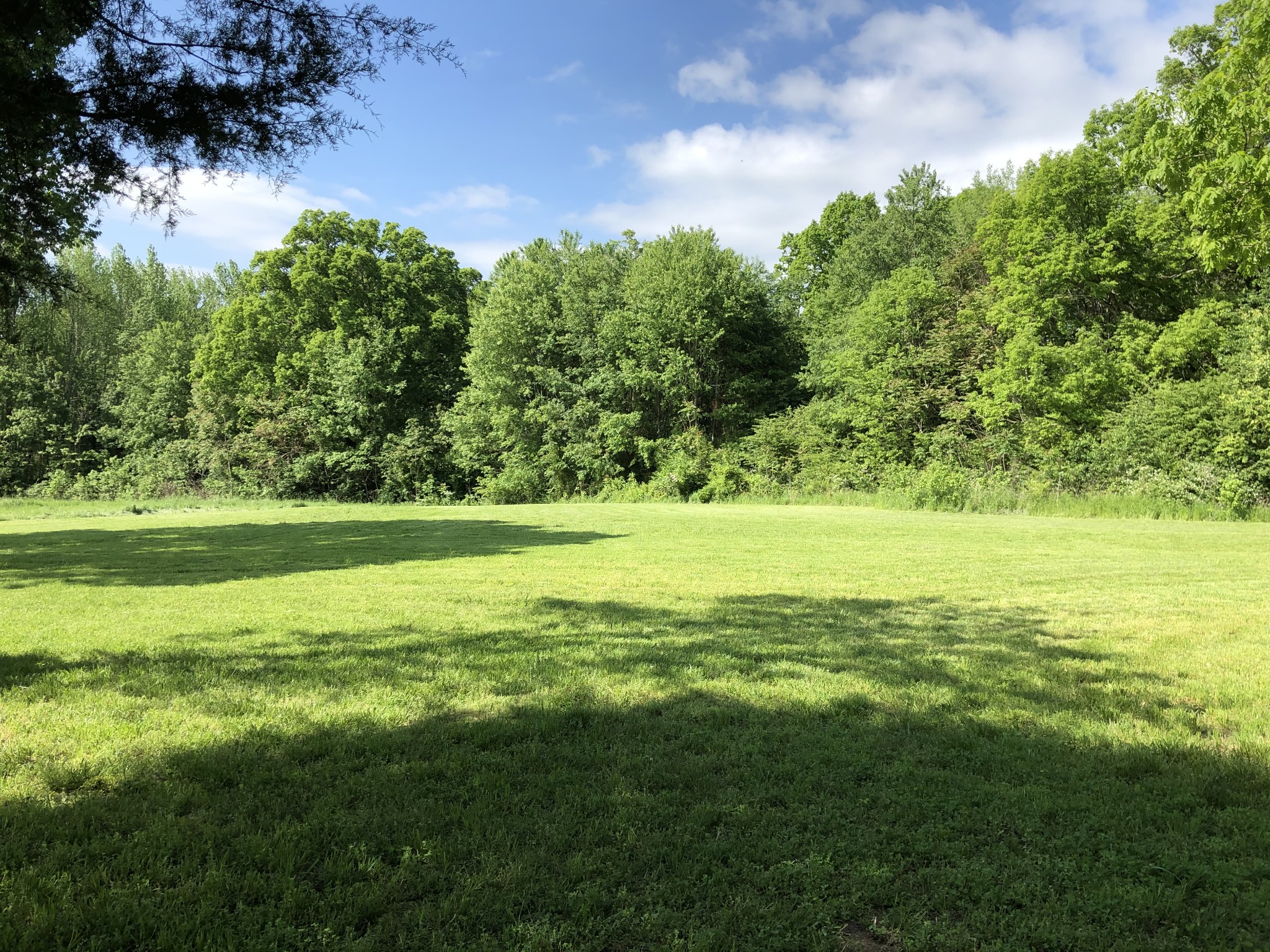 8 Pea Ridge Road Liberty, TN 37095 - Photo 7 of 27 a view of a green field with lots of bushes